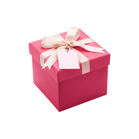 Geschenk-Wundertüte